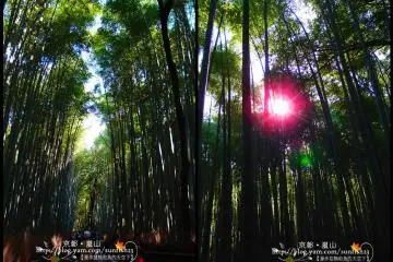 嵐山竹林小徑&野宮神社
