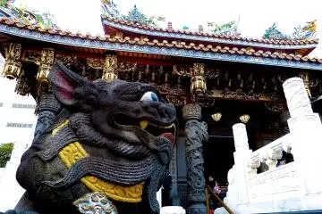 Guardian dogs alert in front of the sanctuary