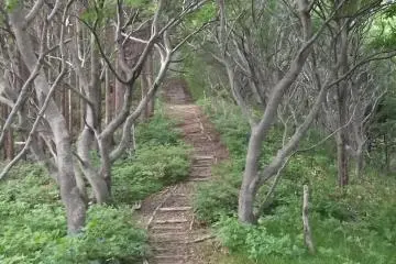 <p>One of the trails</p>