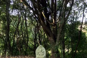 Kannon figure
