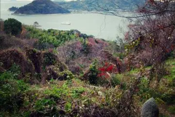 Gogoshima