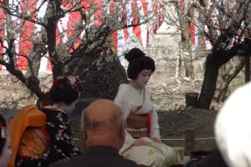 <p>A geiko, about to prepare tea, focuses on her gestures</p>