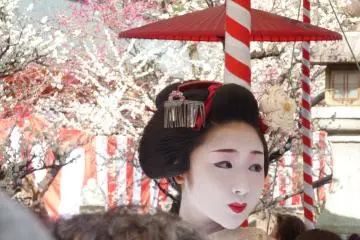 <p>Plum blossoms underline the beauty of maiko's make-up, or is it the opposite?</p>