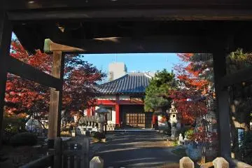 Gallery image