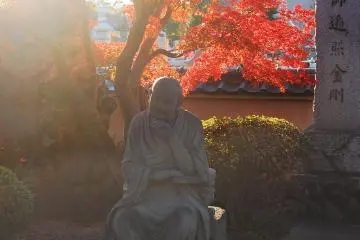 <p>A man or monk is sitting and thinking above the maple trees</p>