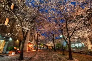 Historical charm and modern shopping are both moments away from the hotel (Photo: <a href="http://www.flickr.com/photos/stuckincustoms/4745693319/" target="_blank" rel="noreferrer noopener nofollow">Trey Ratcliff (CC BY-NC-SA 2.0)</a>)