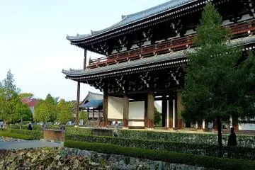 <p>Tofuku-ji's lotus pond&nbsp;</p>