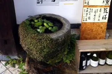 Welcoming water feature