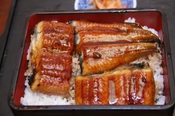 Unagidon served on rice