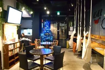 The cafe dressed up for the Christmas season.&nbsp;