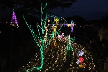 What would Christmas be without reindeer and Mickey Mouse