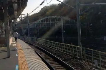 <p>The west platform. The trees lining the tracks mark the beginning of the adjacent park.&nbsp;</p>