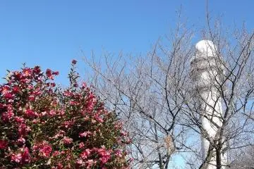 <p>Then near the top there's this odd tower next to an observation deck</p>