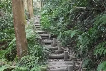 <p>There are steps down, more and steeper than on the way up</p>