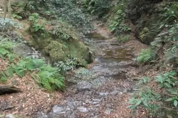<p>When you get to this stream you're near the end of the hike</p>