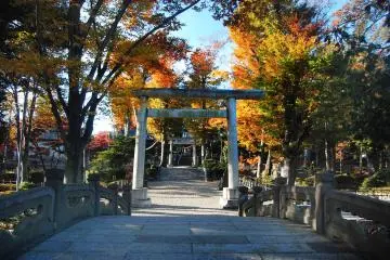 <p>Pintu masuk (torii) dan jalan utama (sando) menuju kuil.</p>