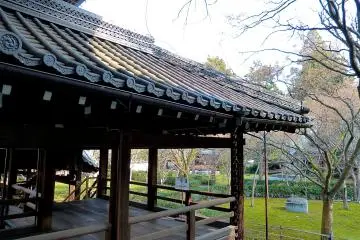 ระเบียงและสวนด้านหลัง