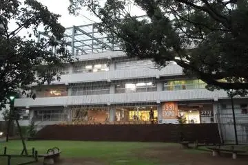 <p>The schoolyard has become a little park in front of the building</p>
