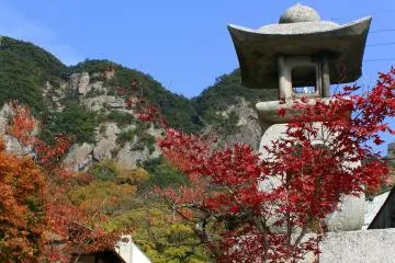 순례자들에게 야쿠리 사원은 긴 여정의 마지막 날이자 사누키 시로 향하면서 사물이 희박해지기 전의 마지막 도시 사찰이다. 이 절은 휴식을 취하기에 좋은 곳이다.
