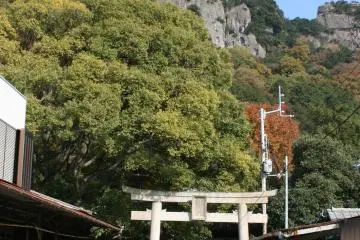 There are refreshments sold by a sweet elderly couple such as ramune, amazake, tea, Mitsuya Cider, sports drinks, and more.