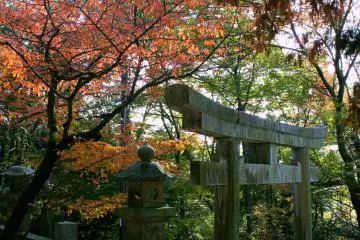 수세기 동안 방문, 유지, 건설, 그리고 숭배했던 야쿠리 같은 고대 사원들은 우리에게 과거 세대에서 온 사람들의 눈을 통해  볼 수 있게 해 준다. 계절에 따라 다른 각도에서 보면 진정한 예술적 아름다움을 발견할 수 있다