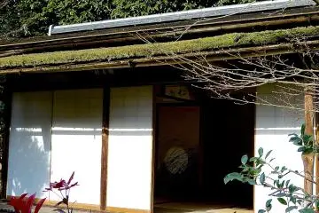 <p>Looking inside the teahouse</p>