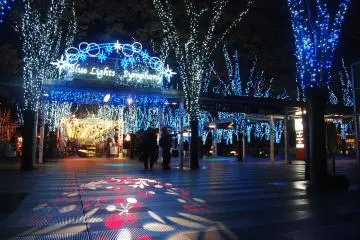 Welcome to the Blue Lights Symphony
