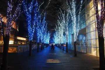 <p>แสงสีฟ้าระยิบระยับจับตา</p>