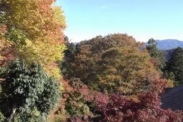 가을의 색깔은 아름답다