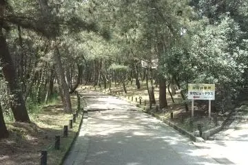 Gallery image