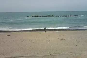 Japan Sea in May in front of 'Ataka-no-Seki'
