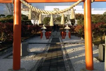 Gallery image