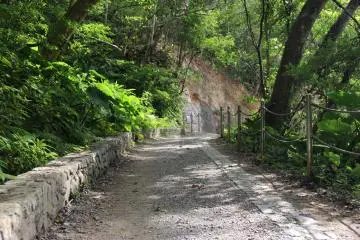 <p>The trail starts out flat and wide but quickly descends and ascends into endless staircases alongside the riverbank</p>
