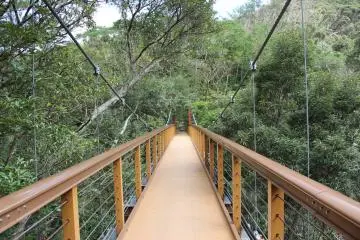 <p>The suspension bridge looking from the Hiji Falls side of the nature path</p>