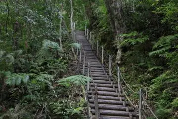 <p>The staircases takes some of the mud out of hiking to Hiji Falls but the elevation changes are definitely left in</p>
