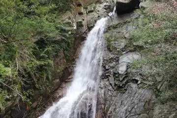 <p>Hiji Falls is Okinawa's largest waterfall at 84 feet. Swimming hasn't been allowed for years due to the danger of rocks and the river current. The end of the nature trail has been offset further and further over the years to keep hikers away from even thinking of entering the water, unfortunately this additional offset has taken away from the otherwise breathtaking perspective one would have looking up at the falling water</p>