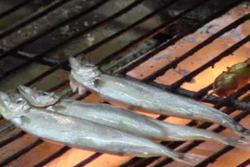 In front of you on the counter is almost all of the food that is on the menu, and beyond the counter—the grill where almost all of the food is cooked.