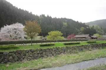 The restored Samurai residences viewed from the Asakura family residence