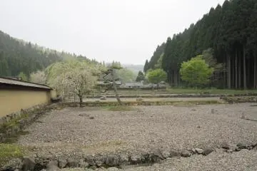 Inside the Samurai residences. Pine woods are in the background