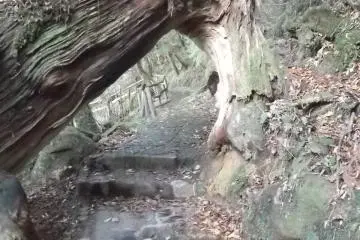 <p>Sometimes you've no choice but to duck under a natural arch</p>