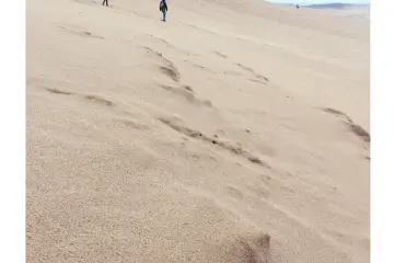 The slopes of the Tottori sand dunes were quite steep&nbsp;