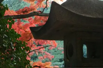 <p>These sights are not just for pilgrims, make sure to stop by this fall!</p>