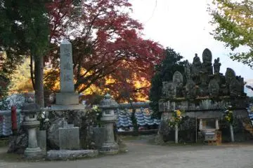 <p>It is hard to not take a good shop of Okubo-ji when the leaves are changing</p>