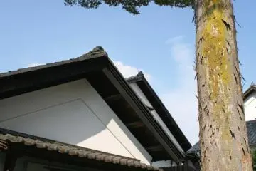 The Sake Cellar