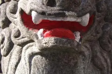 Guardian dog of the temple.