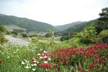 Across the valley