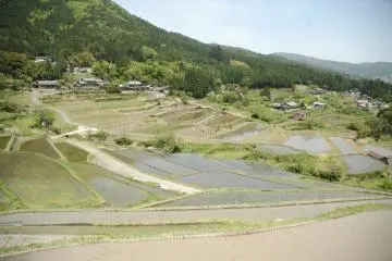 Looking down at the Terraces