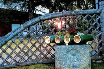 <p>Sunset over a bamboo fence</p>