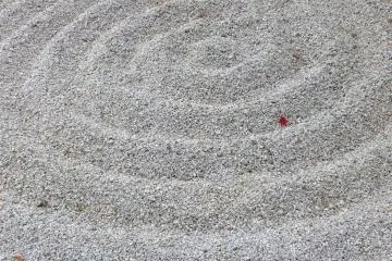 <p>From the temple's Zen garden</p>