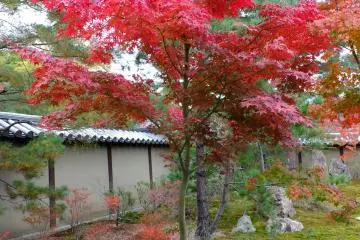 <p>Garden in the corner of the grounds</p>
